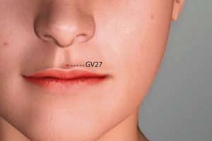 GV 27-Duiduan acupoint